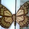 9" X 9"
Woods used: basswood, mahogany, poplar, and walnut.
The image on the left shows the carving on the wings.
 The image on the right shows how the color and veining go all of the way through.